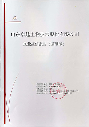 企業(yè)信用報(bào)告